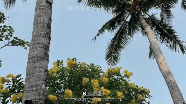 如何通过篮球表演赛制定有效的训练计划_1